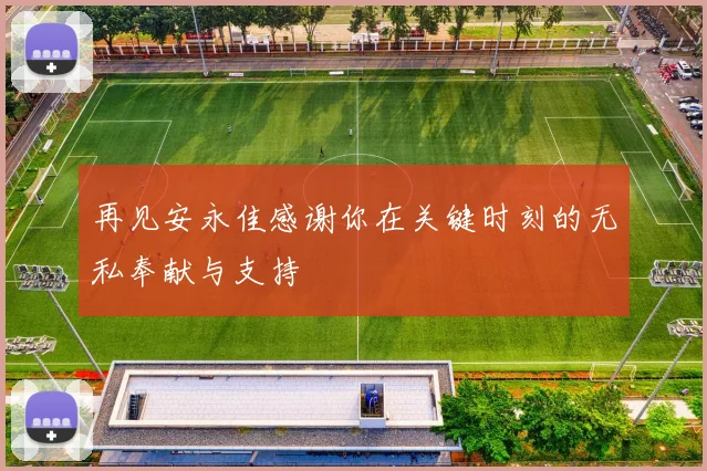 再见安永佳感谢你在关键时刻的无私奉献与支持