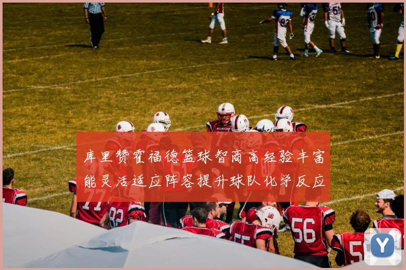 库里赞霍福德篮球智商高经验丰富能灵活适应阵容提升球队化学反应