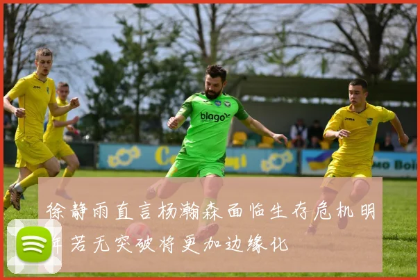 徐静雨直言杨瀚森面临生存危机明年若无突破将更加边缘化