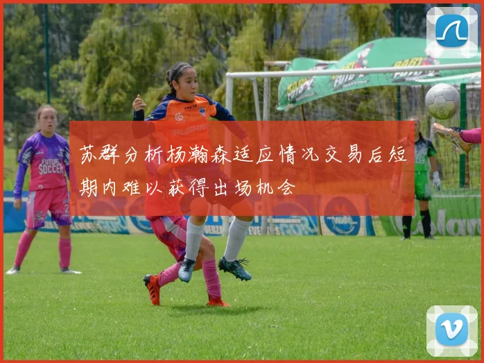 苏群分析杨瀚森适应情况交易后短期内难以获得出场机会