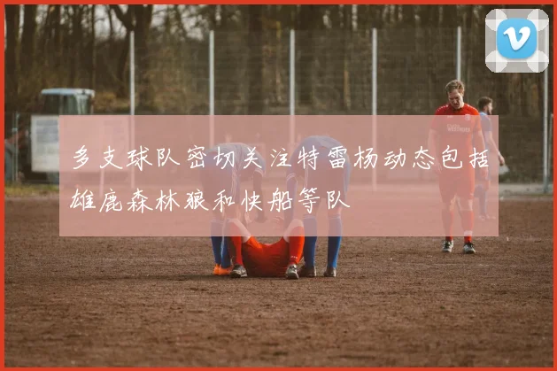 多支球队密切关注特雷杨动态包括雄鹿森林狼和快船等队