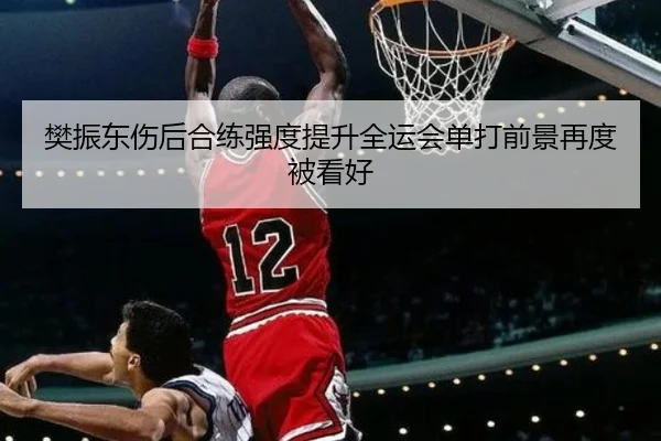 樊振东伤后合练强度提升全运会单打前景再度被看好 - kaiyun